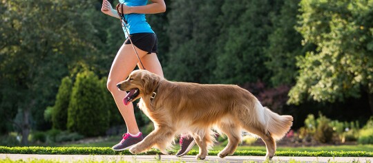 Ein Frauchen ist mit ihrem Hund joggen