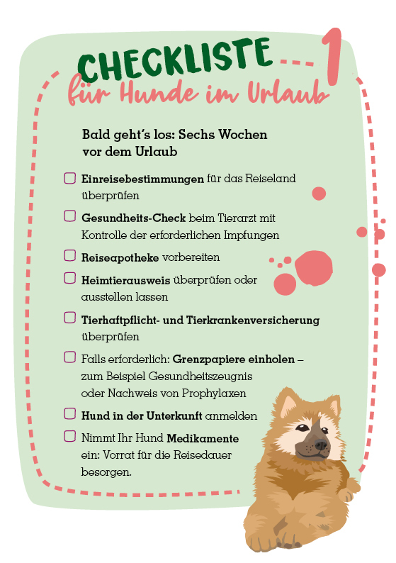 01_Online_RATGEBER_Urlaub_mit_Hund_Reisegepaeck