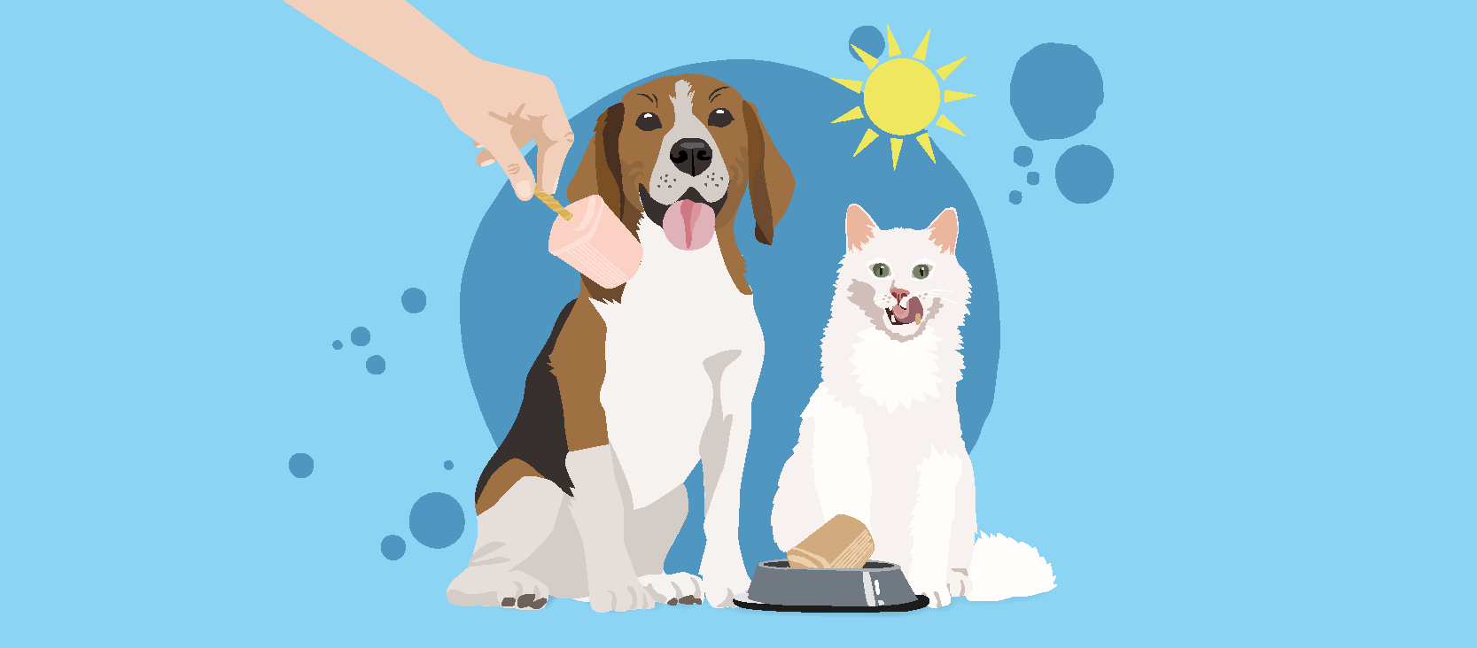 0421_Online_RATGEBER_13 Anleitung Rezept für Hundeeis und Katzeneis