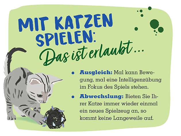 13_CS_Online_Beschaeftigung_Katze_Slides_630x473px_01 Info mit Katzen spielen
