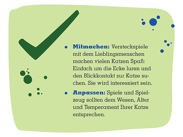 13_CS_Online_Beschaeftigung_Katze_Slides_630x473px_02 Info mit Katzen spielen