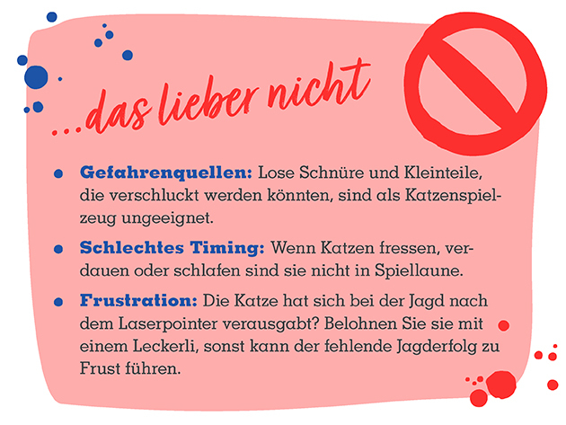 13_CS_Online_Beschaeftigung_Katze_Slides_630x473px_03 Info mit Katzen spielen