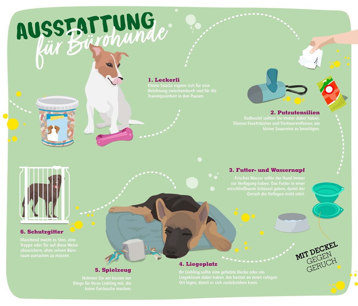 Infografik Ausstattung Hund im Büro Infografik Ausstattung Hund im Büro