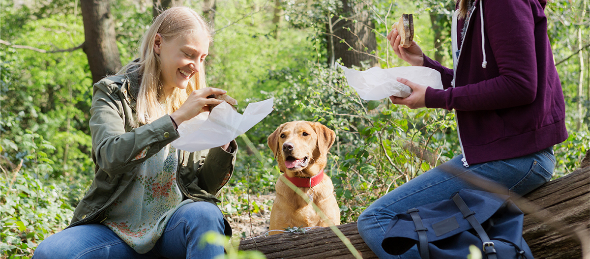 Zwei Frauen und ein Hund beim Picknick im Wald Zwei Frauen und ein Hund beim Picknick im Wald