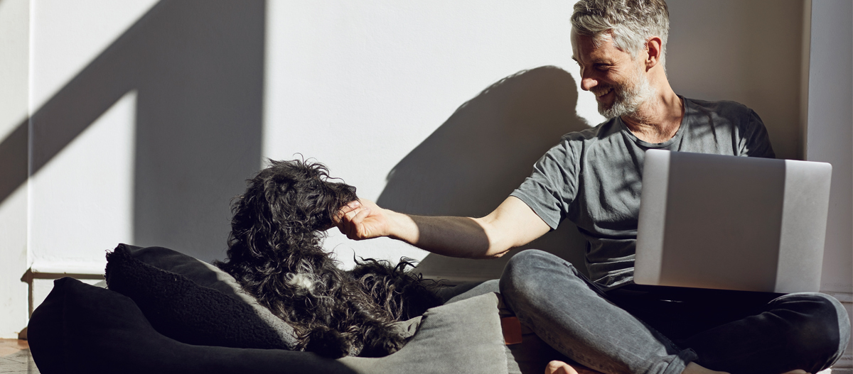 Hund im Körbchen neben sitzendem Mann mit Laptop Hund im Körbchen neben sitzendem Mann mit Laptop