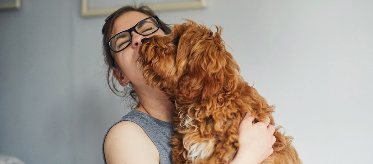 Frau kuschelt mit Hund Frau kuschelt mit Hund