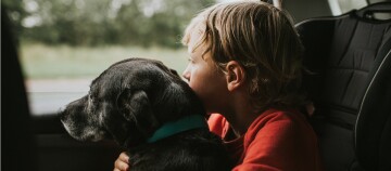 Kind sitzt mit Hund im Auto und schaut aus Fenster