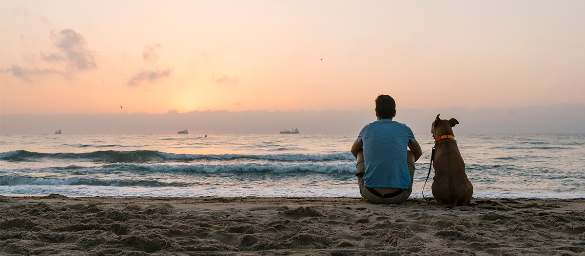 Hund und Mensch sitzen am Strand beim Sonnenuntergang Hund und Mensch sitzen am Strand beim Sonnenuntergang