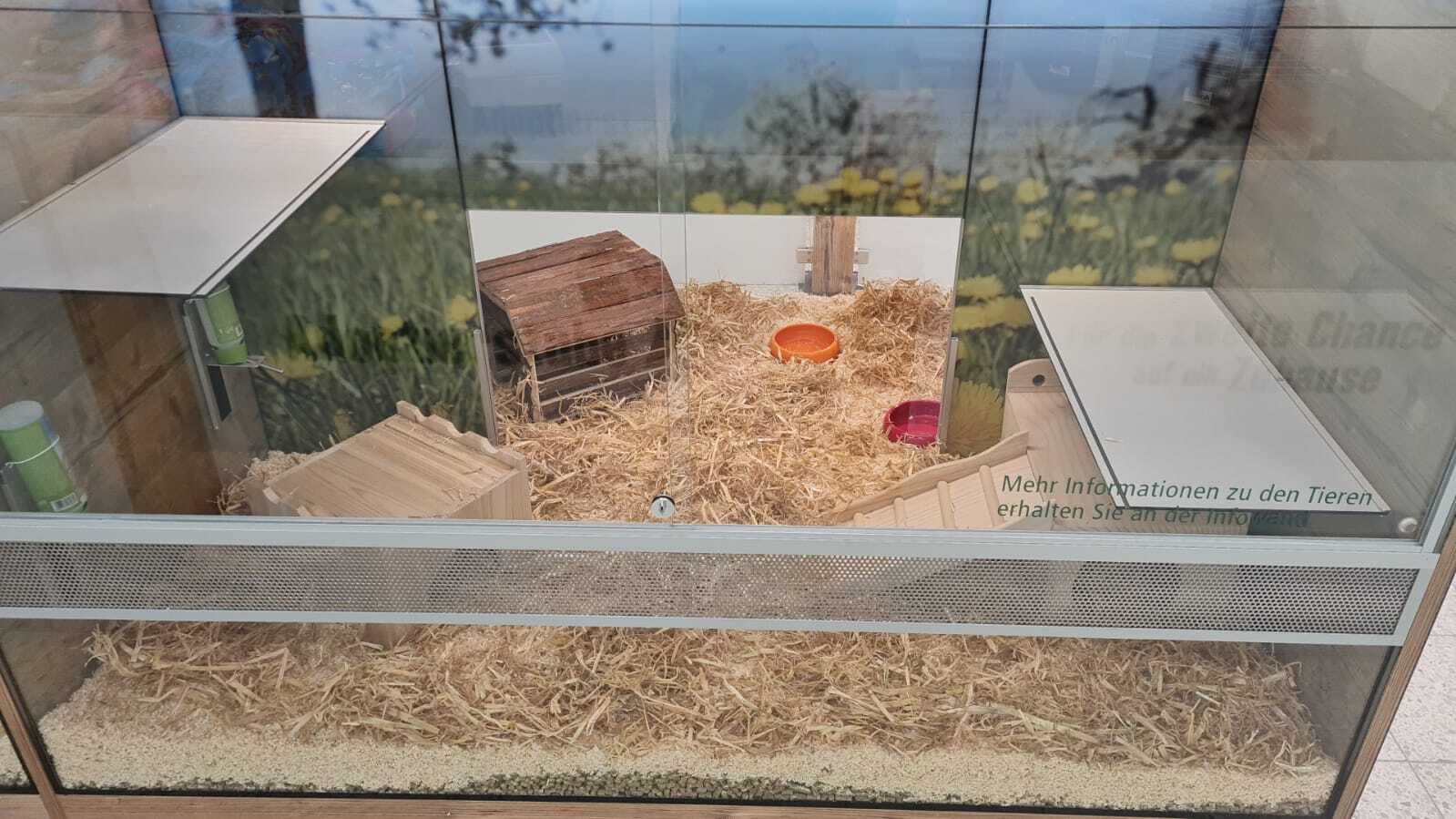 adoptierstube burgdorf Adoptierstube im Fressnapf Markt Burgdorf