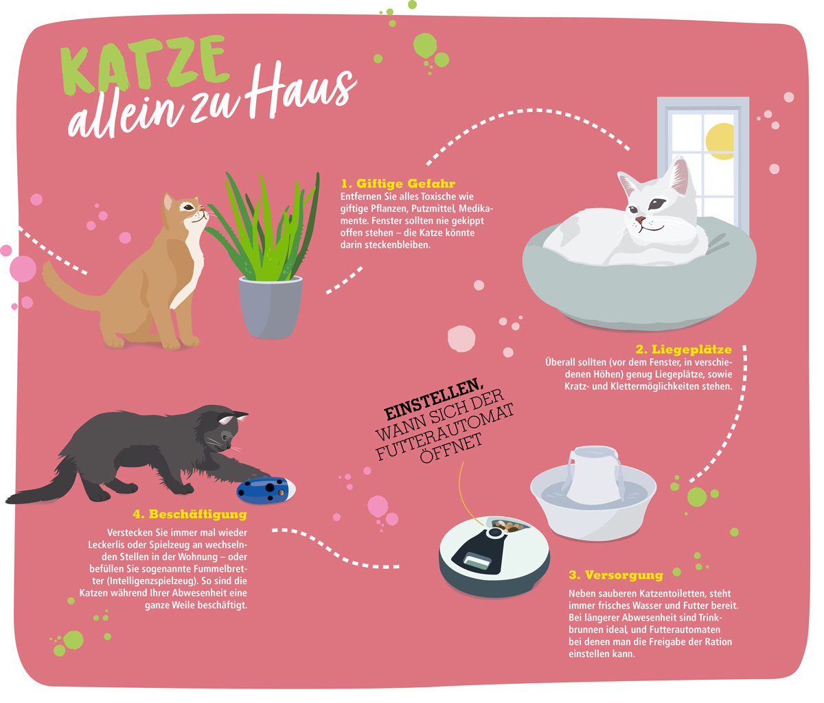 Infografik Katze alleine lassen Infografik Katze alleine lassen