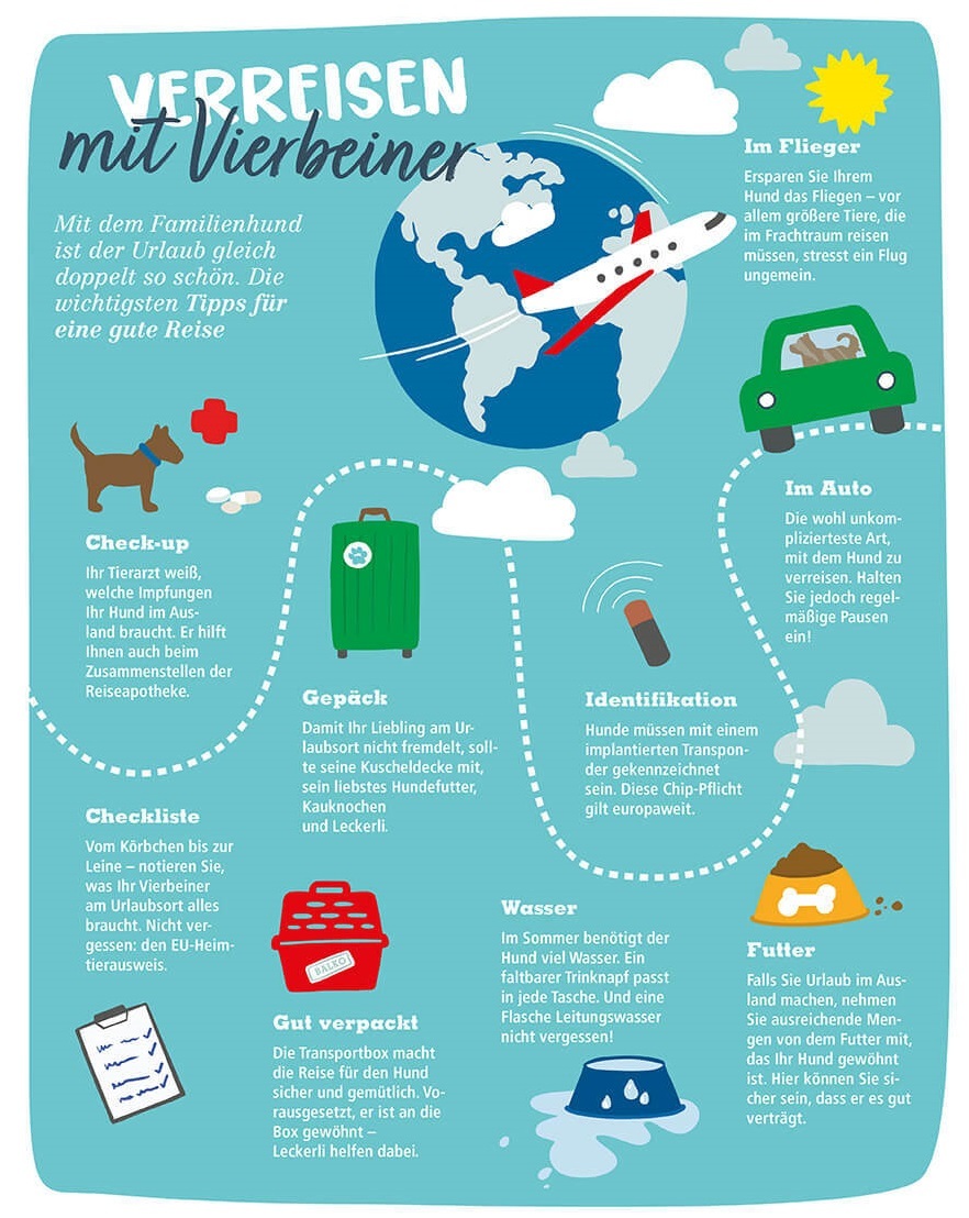 Reisen mit Hund Infografik Reisen mit Hund Infografik