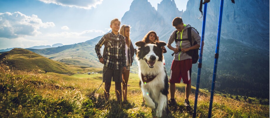 Gruppe auf Berg beim Wandern mit Hund Gruppe auf Berg beim Wandern mit Hund