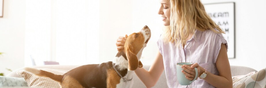 vis_gutscheinseite_1200x397 Hilfe und Support Gutscheine