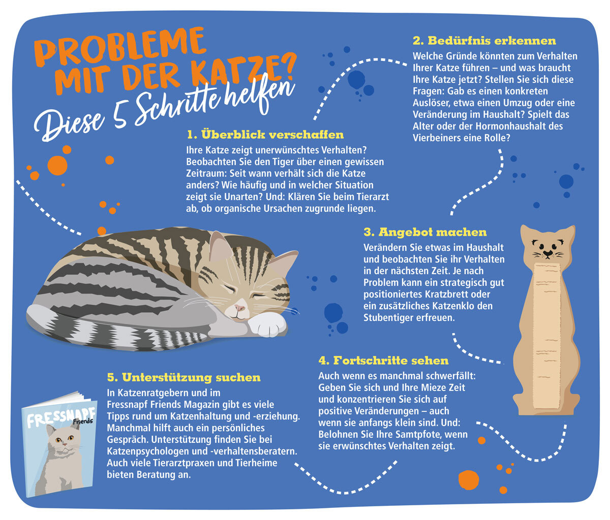 Infografik zum Thema mit Katze überfordert - 5 Schritte die helfen Infografik zum Thema mit Katze überfordert - 5 Schritte die helfen