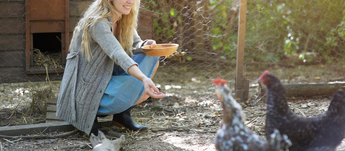 Eine Frau füttert hockend Hühner in einem Hühnerstall