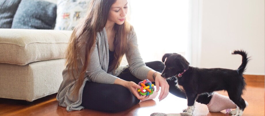 Eine Frau spielt mit einem Welpen Eine Frau spielt mit einem Welpen