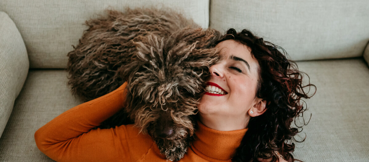 Langhaarhund liegt auf Couch und wird von Frau gedrückt Langhaarhund liegt auf Couch und wird von Frau gedrückt