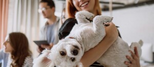 Frau hält weißen Pudel im Arm