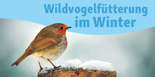 Wildvögelfütterung im Winter