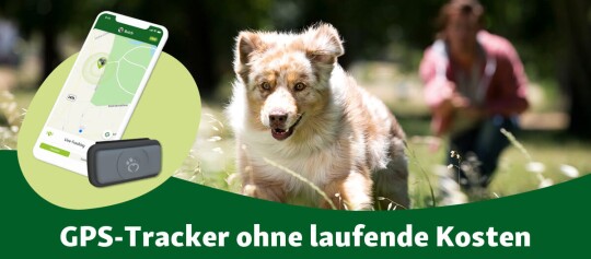 GPS tracker ohne laufende Kosten