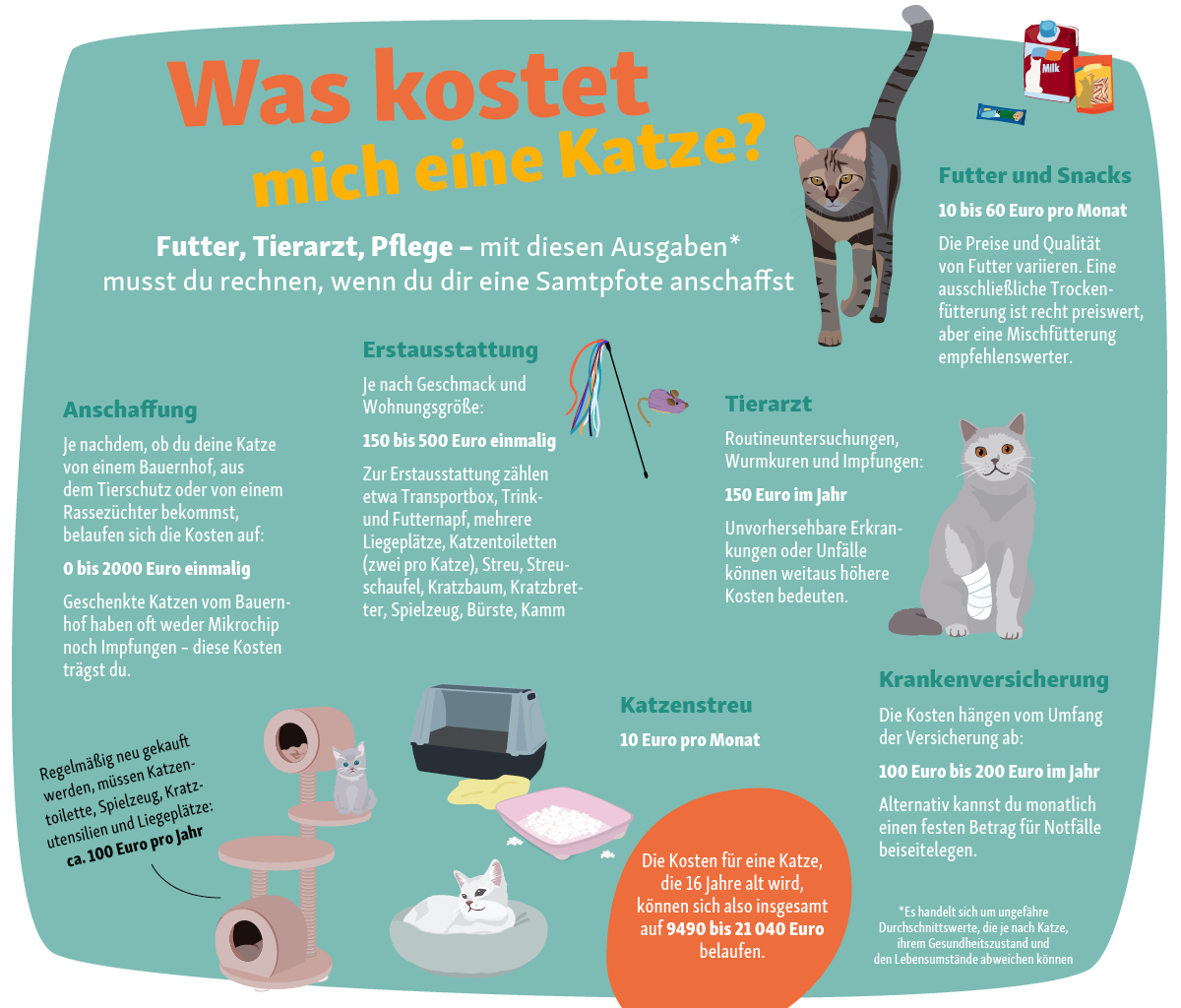 CP_NewPet_06_Kostenuebersicht_211213 Kosten für eine Katze