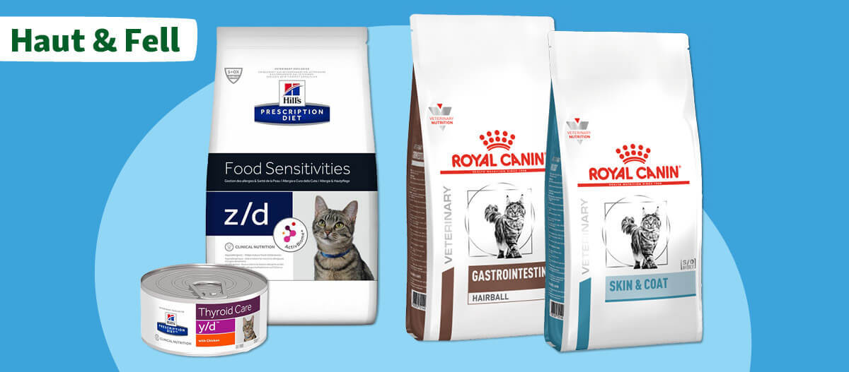 Katzenfutter-Empfehlungen für gepflegtes Fell & Haut