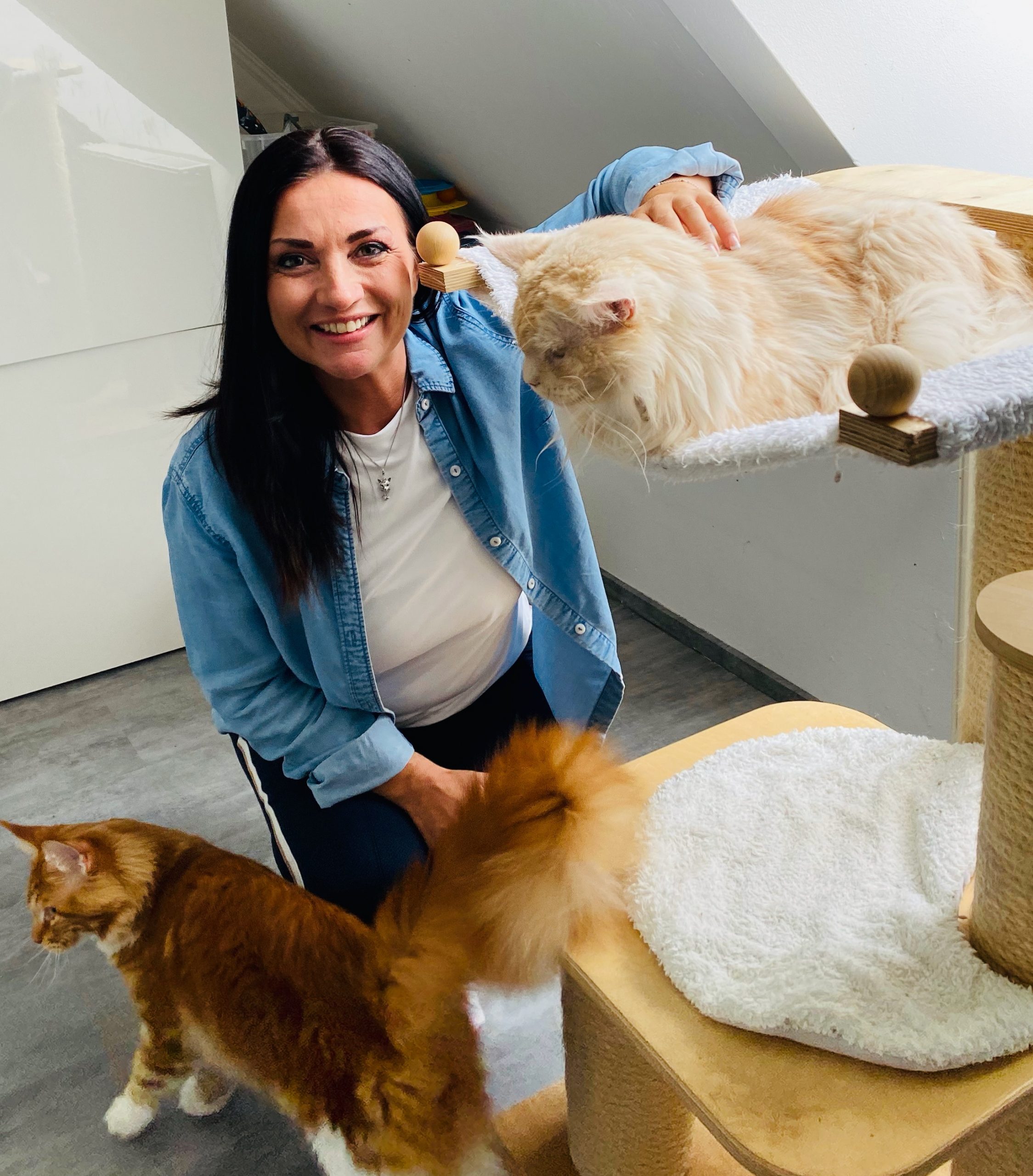 Katzenexpertin Petra Ott Katzenexpertin Petra Ott