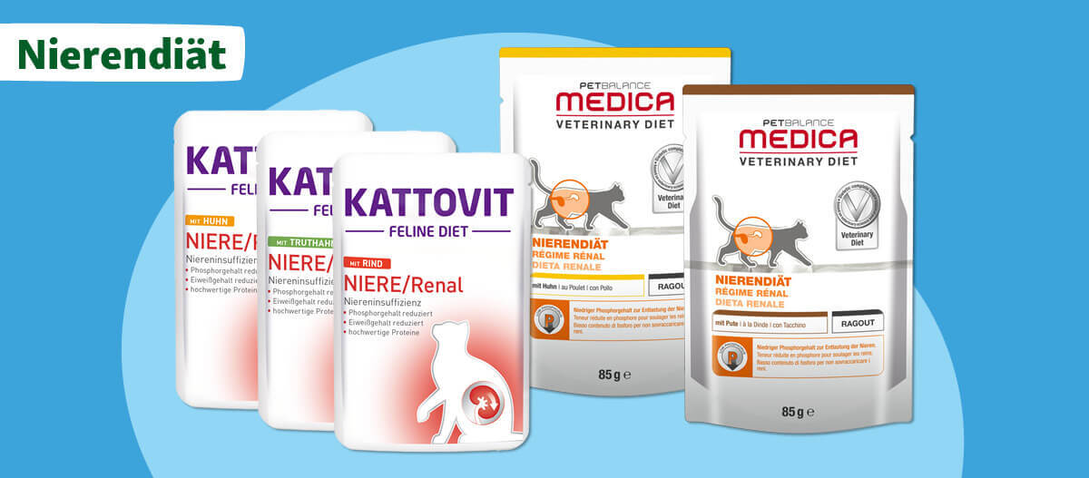 Unsere Futter-Empfehlungen zur Unterstützung der Niere
