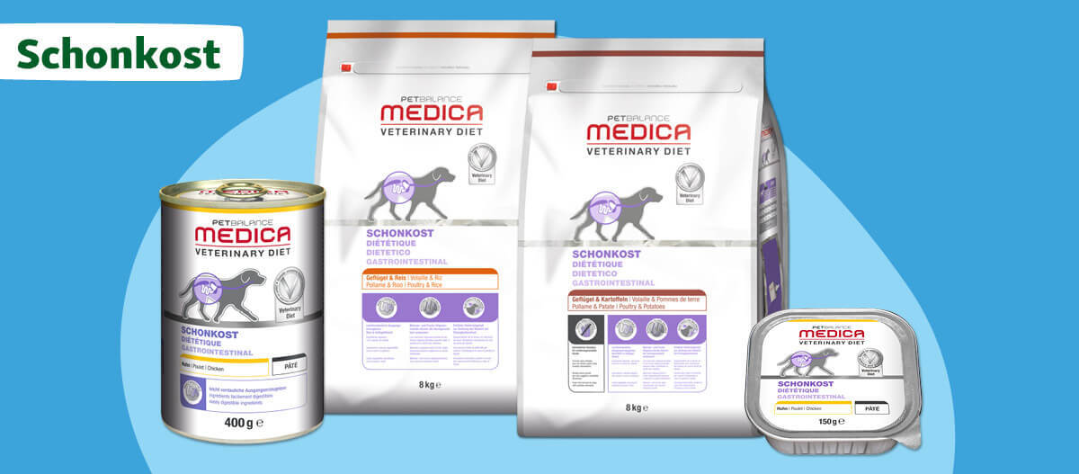 Schonkost für Hunde