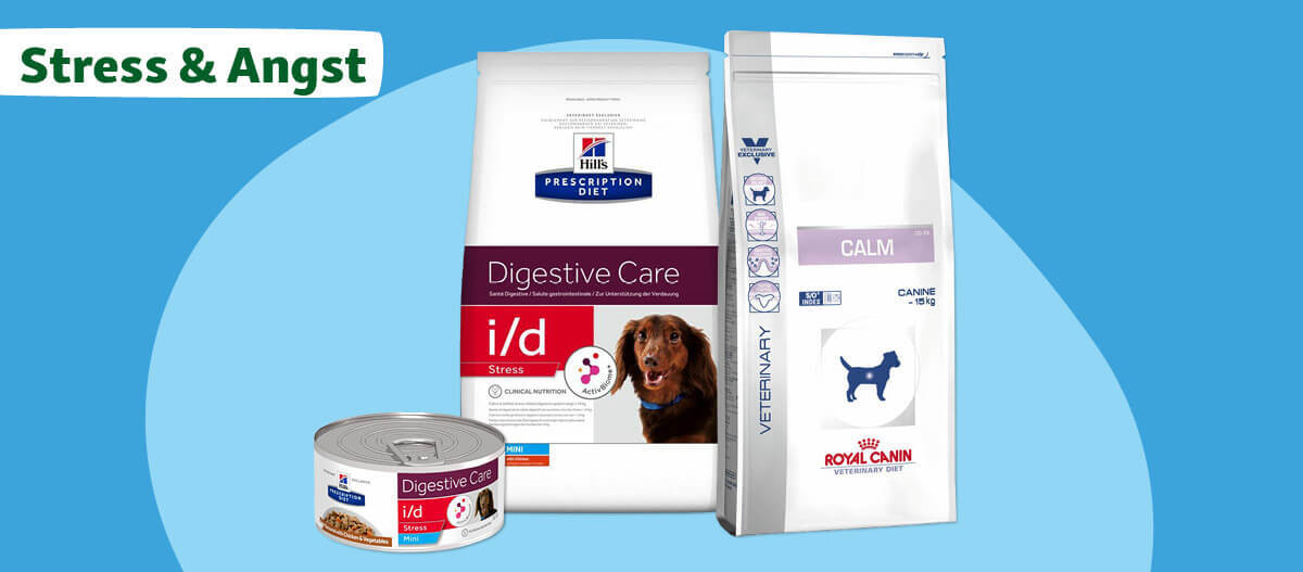 Futtermittel für Hunde bei Stress und Angst