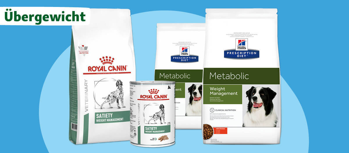 Diät-Futter für Hunde mit Übergewicht