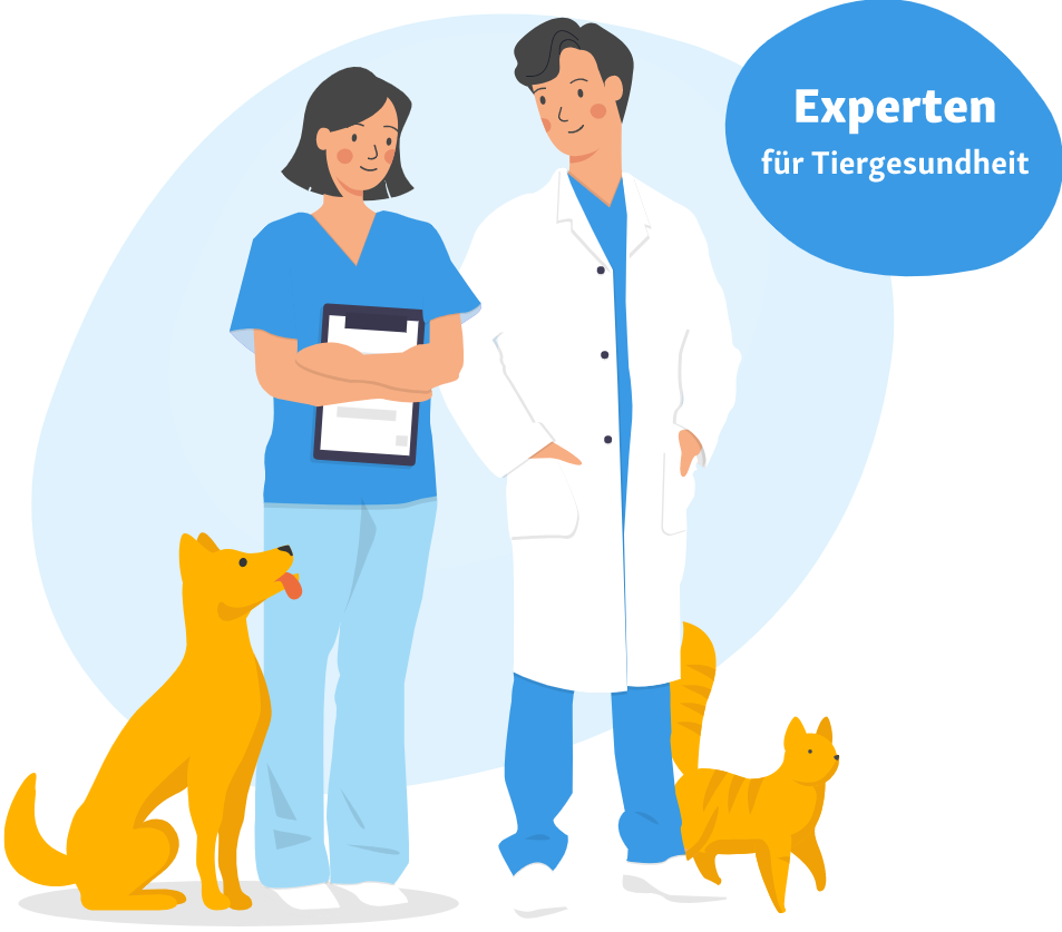 Dr. Fressnapf Infografik