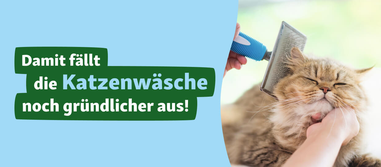 KE_CAT_Visual_DE Katze_hygiene_Pflege