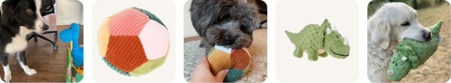 v2_Hilfeseite_vis_community_collage_neu-621c936086510