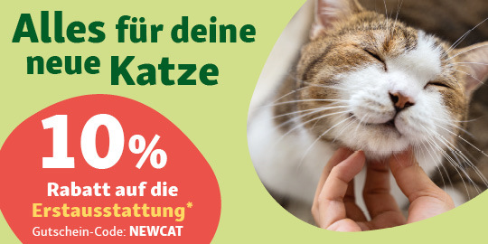 DE_KW14_Firstequipment_NewPet_SG_OS.6erN_2 Alles für deine neue Katze