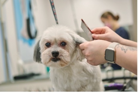 Sigmund & Wilma avatar