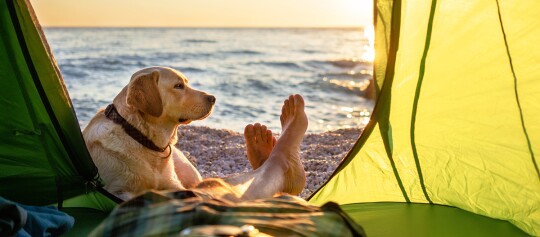Hundestrand in Deutschland