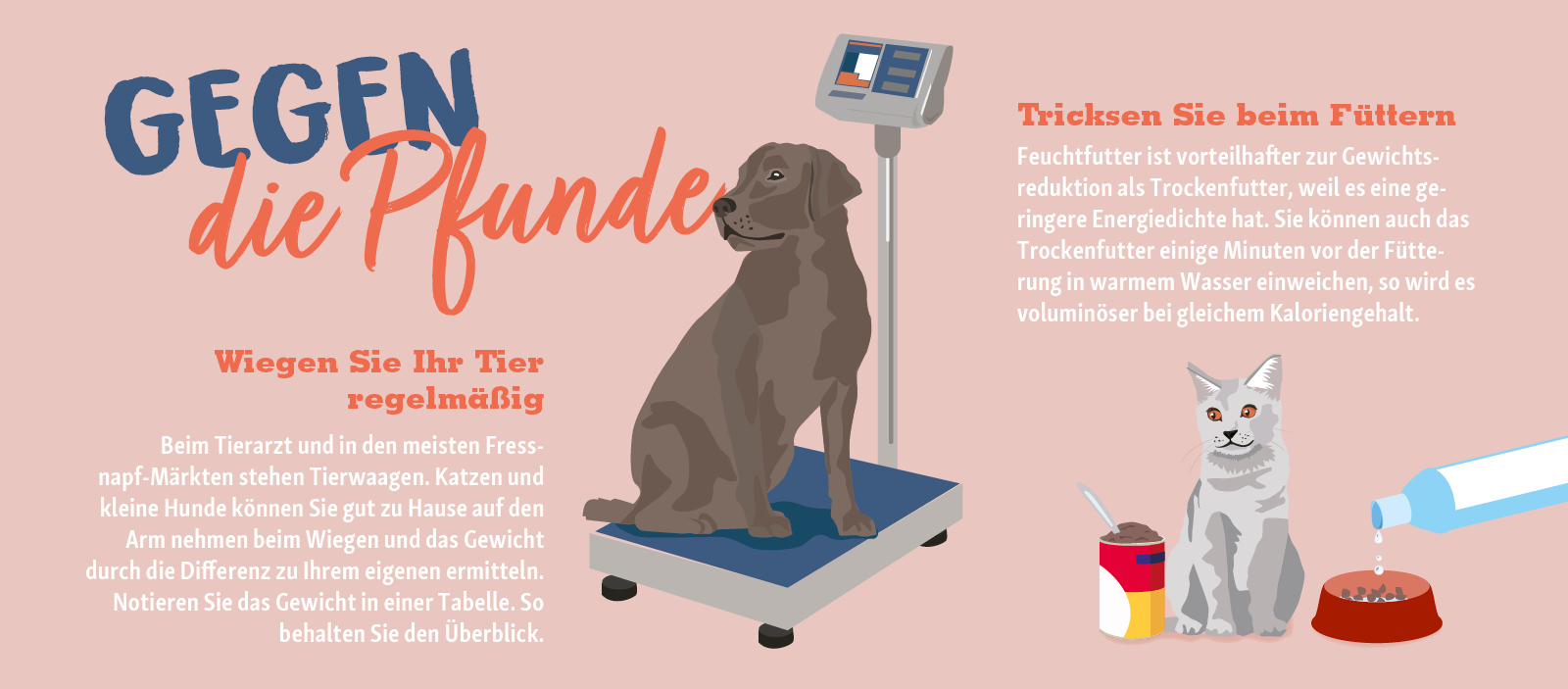 0322_Online_RATGEBER_1200x527px21 Infografik: Tipps gegen Übergewicht