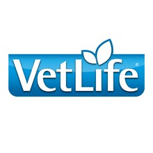 MicrosoftTeams-image (93)