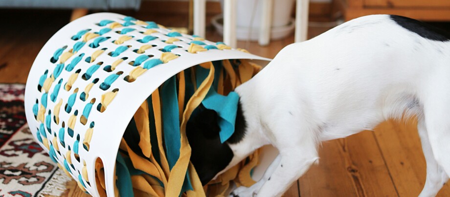 0122_Schnuffelkorb_DIY_Online_1200x527px