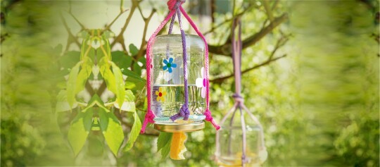 DIY Schmetterlingstränke