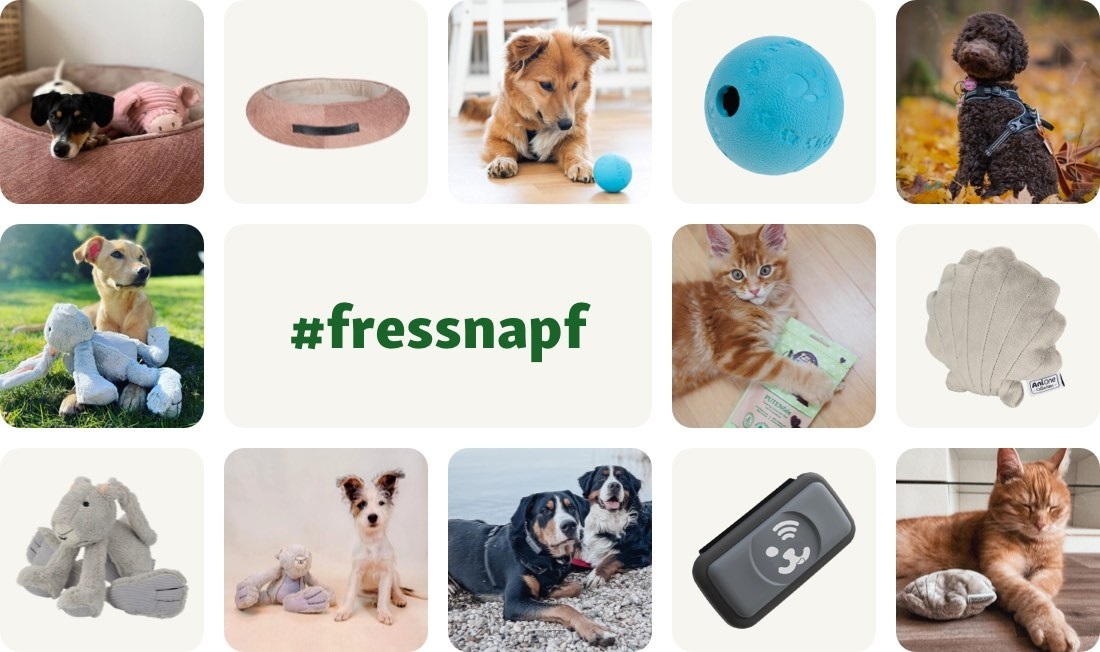 14.07.community_collage_neu-62d11824b2194