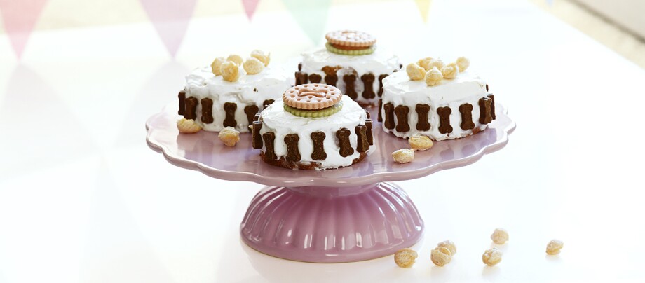 0522_Online_RATGEBER_1200x527px19 DIY-Hundekuchen fertig zum füttern