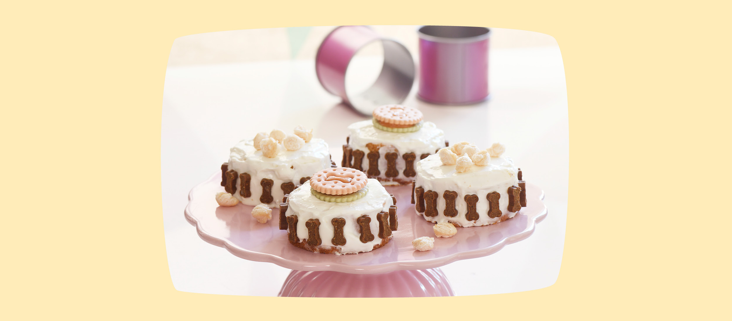 0522_Online_RATGEBER_1200x527px24-62e946f34c8e6 DIY-Hundekuchen