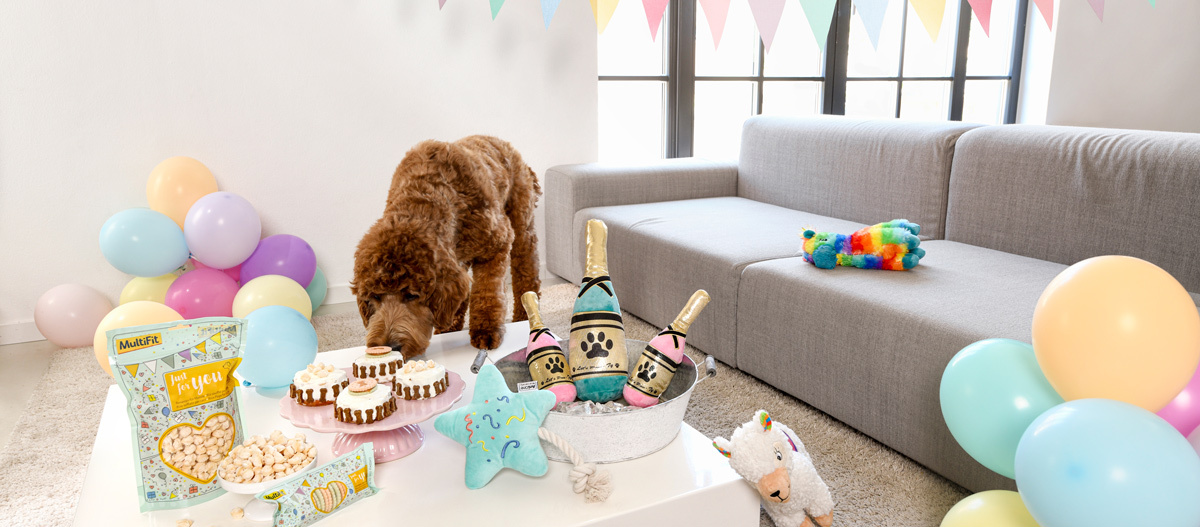 Geschenke für Hunde