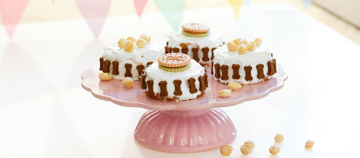 0522_Online_RATGEBER_1200x527px_Geburtstagsparty_Hund_02 Hundekuchen selber backen