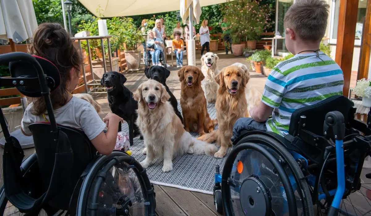 Spenden für VITA Assitenzhunde