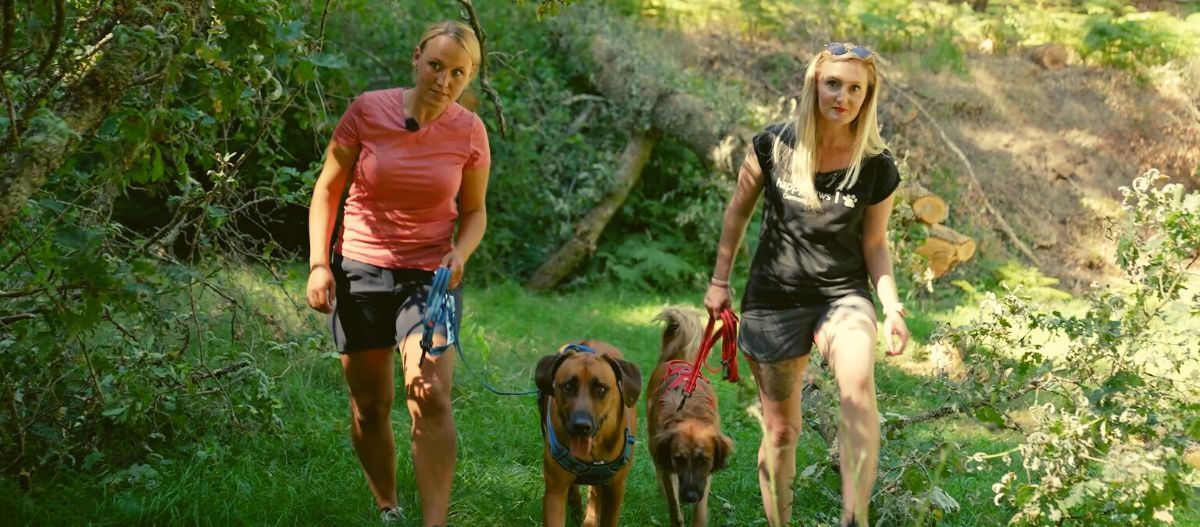 Die Teilnehmerinnen der Outdoor-Challenge und ihre Hunde sind gespannt, was sie im Wald erwartet Die Teilnehmerinnen der Outdoor-Challenge und ihre Hunde sind gespannt, was sie im Wald erwartet