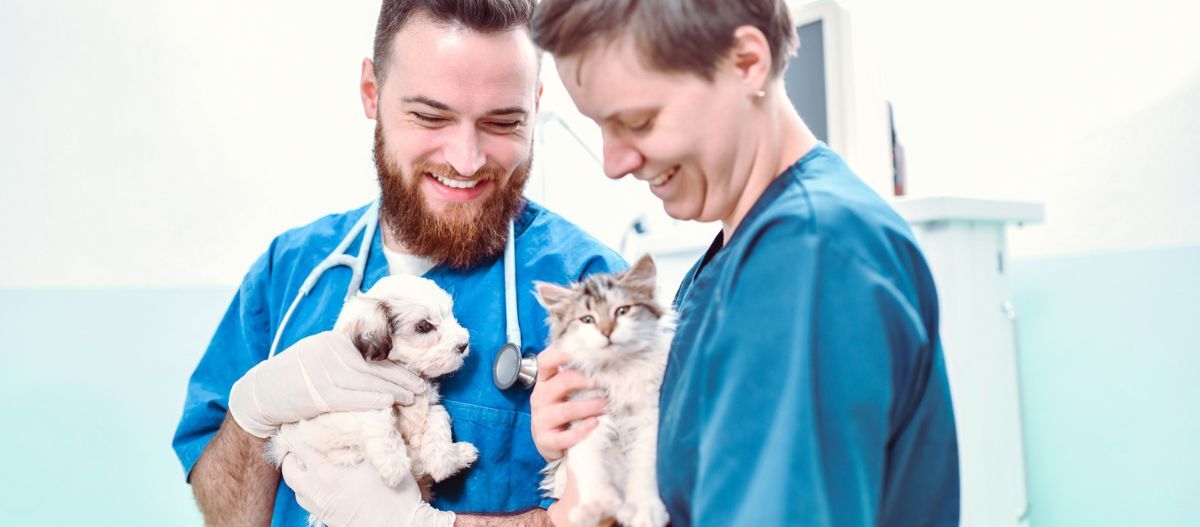 Tierarzt und Tieraerztin halten Hund und Katze