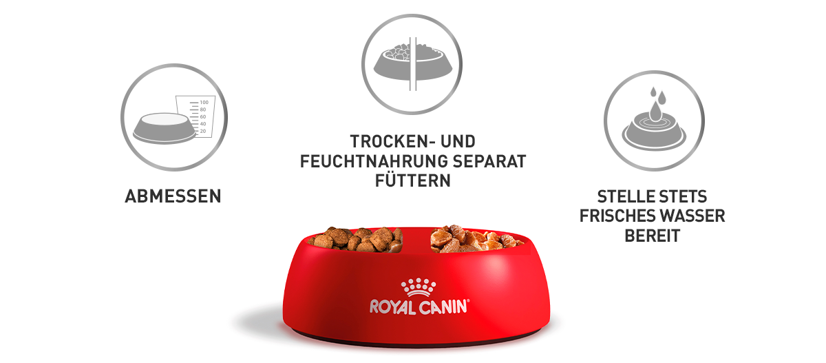 Napf_1200Royal Canin Brandshop x527